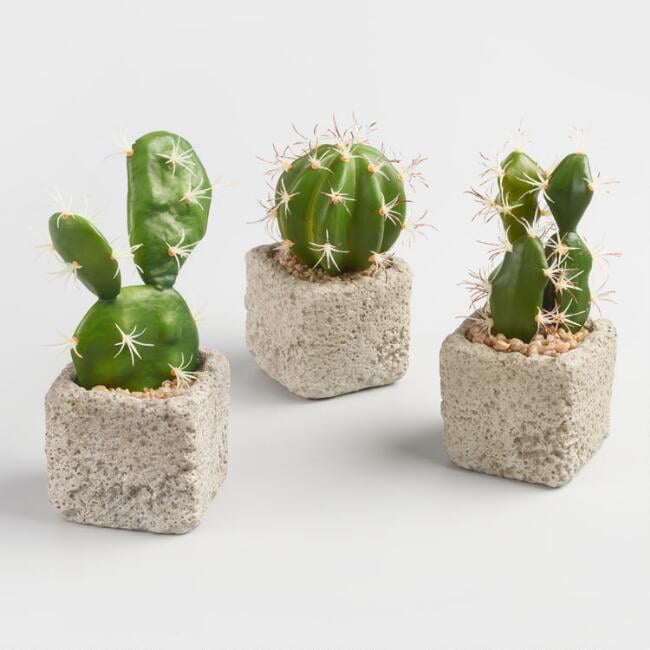 Faux-Cacti-Cement-Pots.jpg