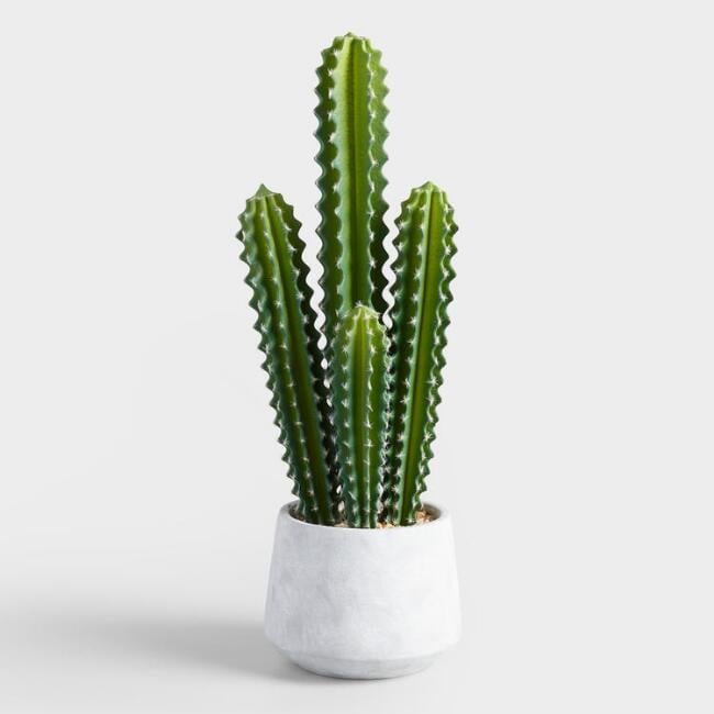 Faux-Potted-Senita-Cactus.jpg