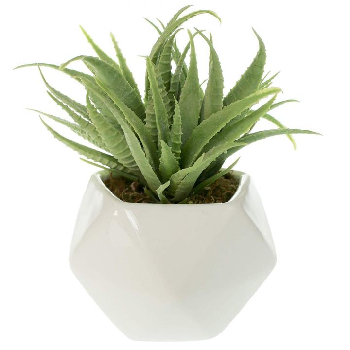 Small-Faux-Aloe-Succulent.jpg