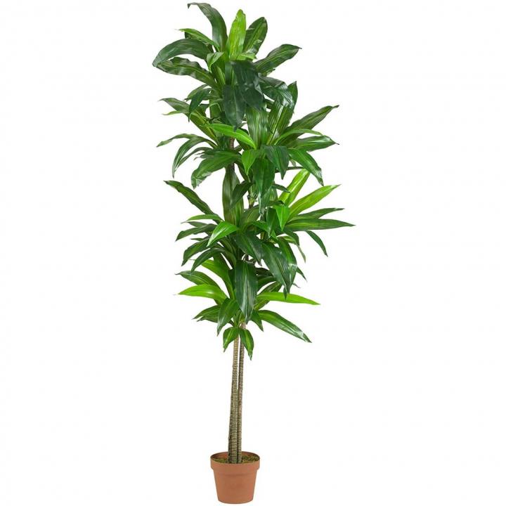 Nearly-Natural-Real-Touch-Dracaena-Silk-Plant.jpg