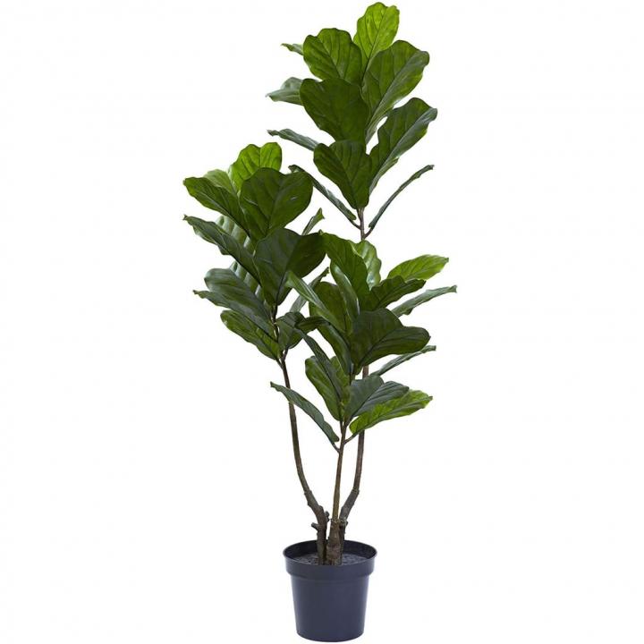 Nearly-Natural-Fiddle-Leaf-IndoorOutdoor-UV-Resistant-Tree.jpg