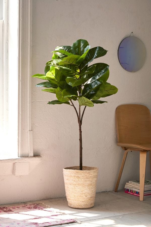 Potted-Faux-Rubber-Tree.jpg