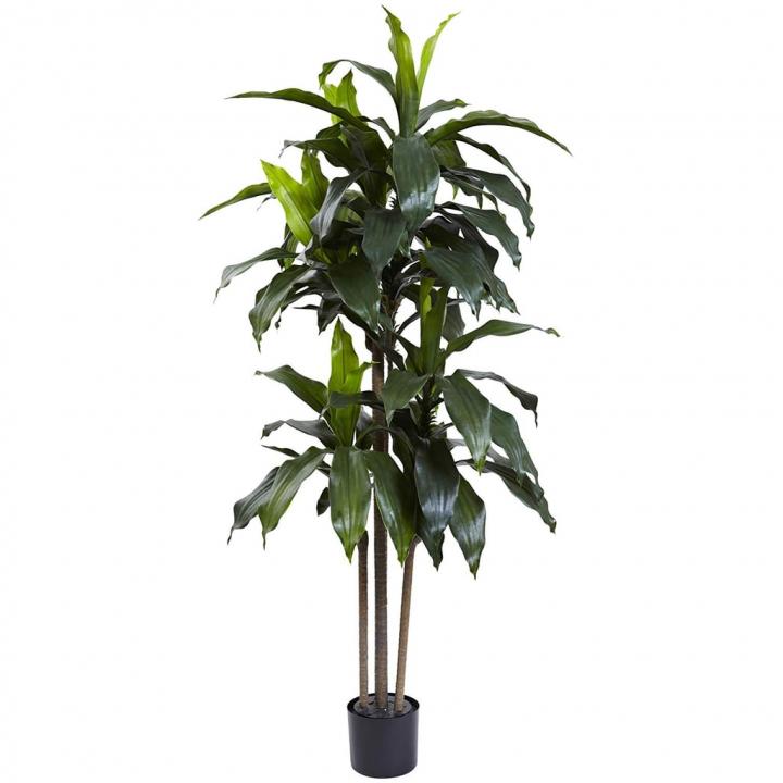 Nearly-Natural-Dracaena-IndoorOutdoor-UV-Resistant-Plant.jpg