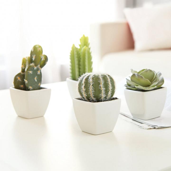 My-Gift-Set-4-Artificial-Mini-Succulent-Cactus-Plants.jpg