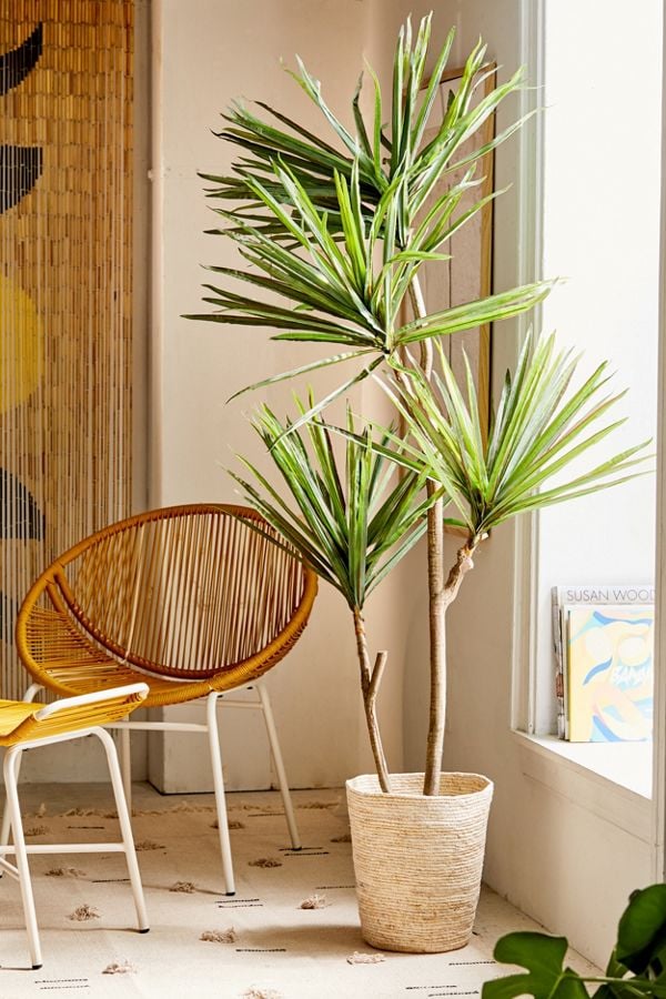 Yucca-Potted-Faux-Tree.jpg