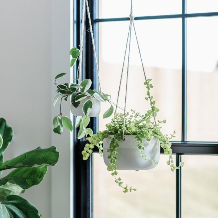 Simplicity-Ceramic-Hanging-Planter.jpg