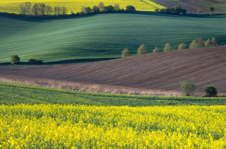 Rolling-Hills-Czech-Republic.jpg