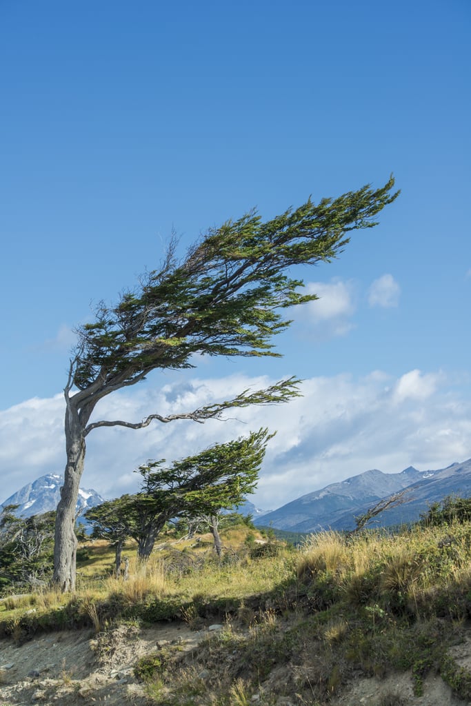 Tierra-del-Fuego-Argentina.jpg