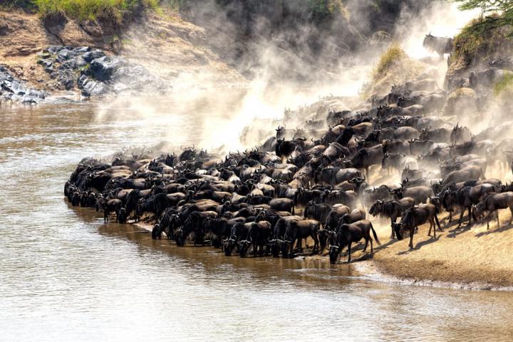 Mara-River-Kenya.jpg