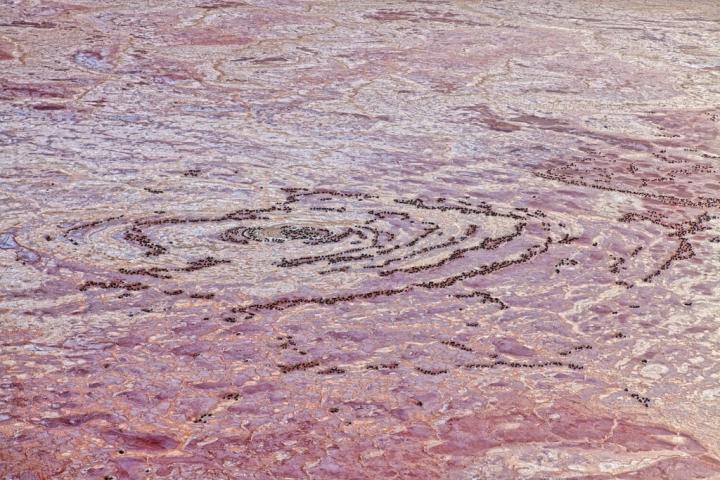 Lake-Natron-Tanzania.jpg