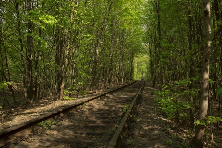 Tunnel-Love-Ukraine.jpg