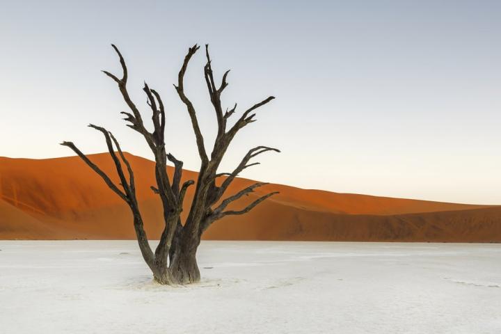 Deadvlei-Namibia.jpg