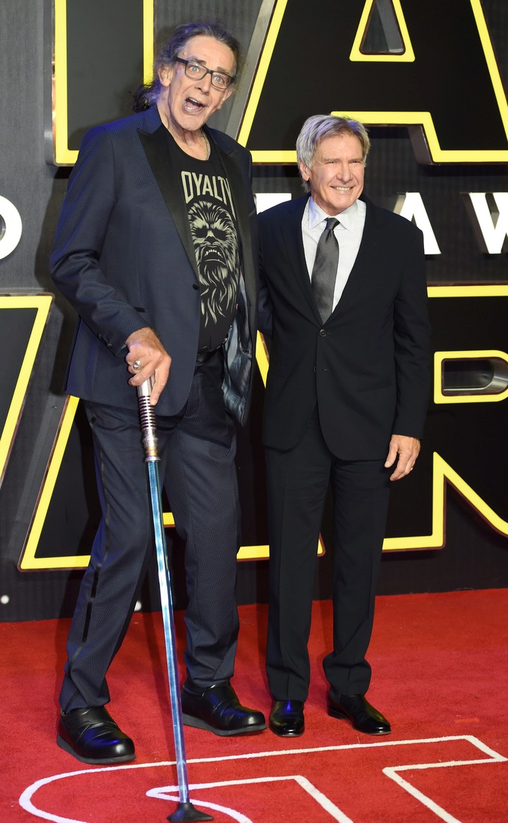 los-actores-estadounidenses-harrison-ford____3YIXxprU_720x0__1.jpg