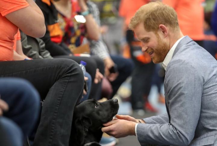 Prince-Harry-Visiting-Netherlands-May-2019.jpg