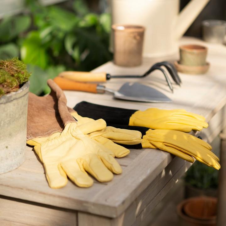 Womens-Tough-Touch-Gardening-Gloves.jpg