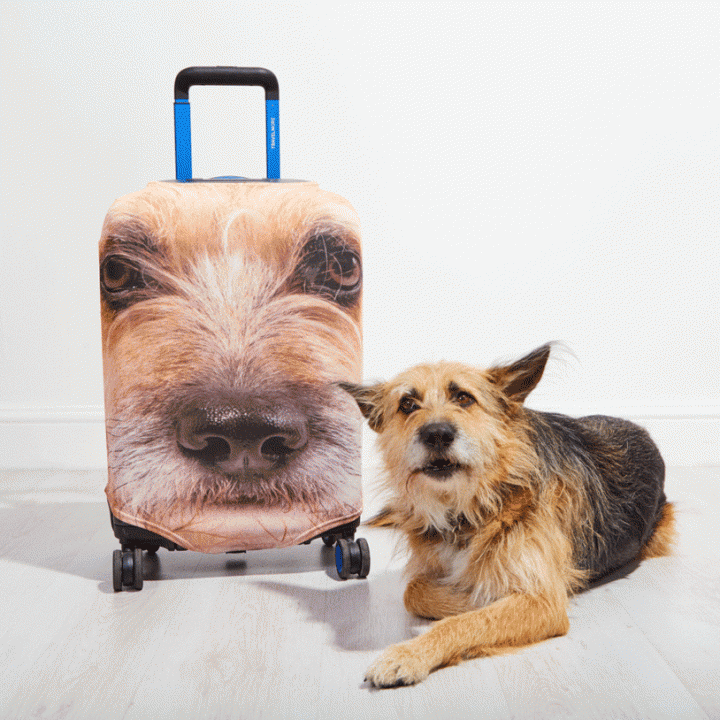 Personalized-Dog-Cat-Suitcase-Covers.gif