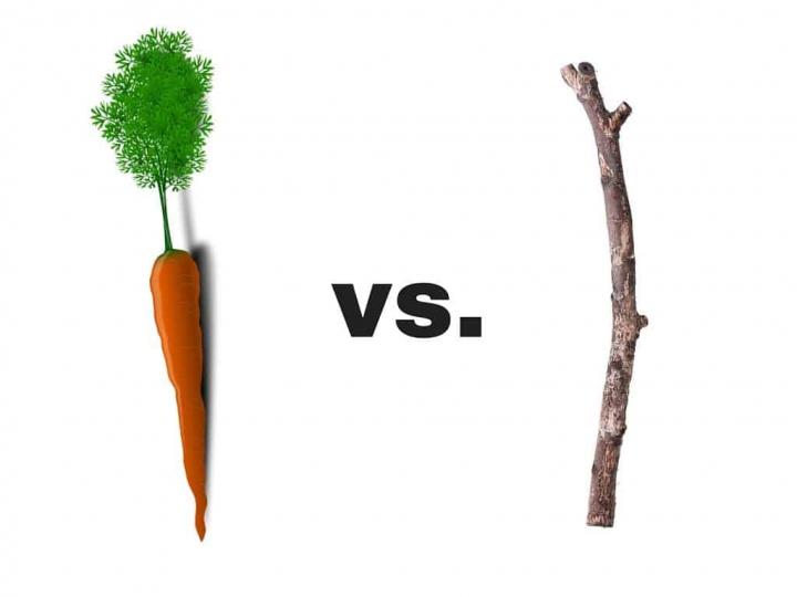 Carrot-v-stick1.jpg