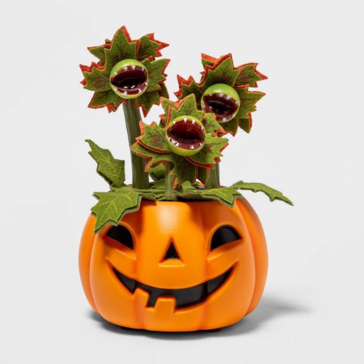 Halloween-Succulents-From-Target.jpg