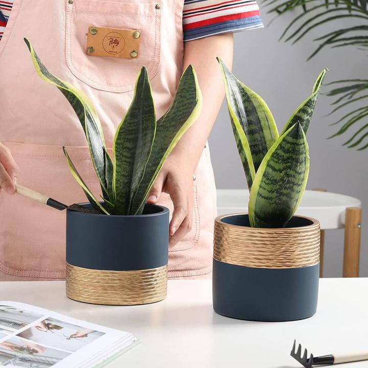 For-Golden-Accent-Modern-Gold-Brushed-Cement-Planters-Pots.jpg