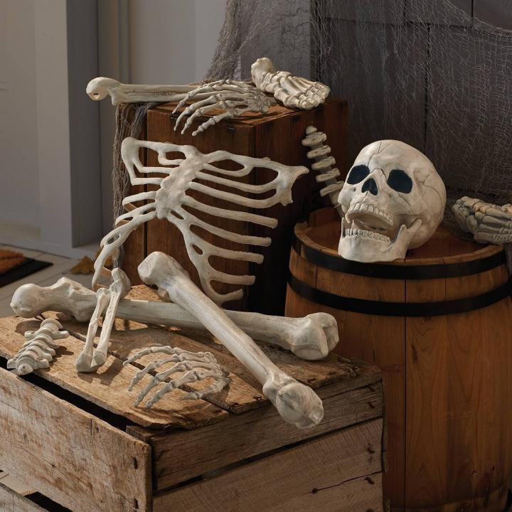 For-Skele-Fun-Everywhere-Skeleton-Bag-Bones-Halloween-Decorative-Prop.jpg