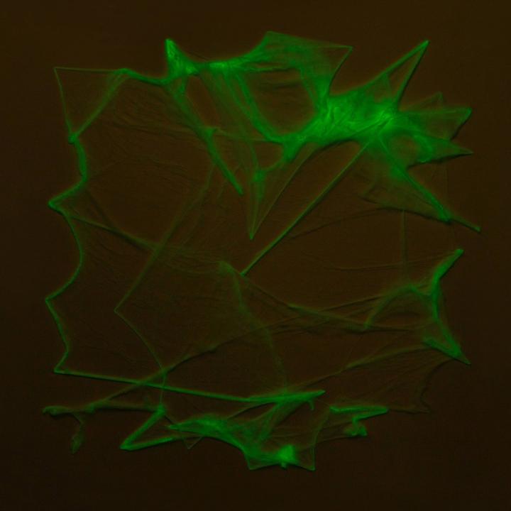 Glowy-Detail-Spiderweb-Stretch-Glow-Halloween-Decorative-Prop.jpg