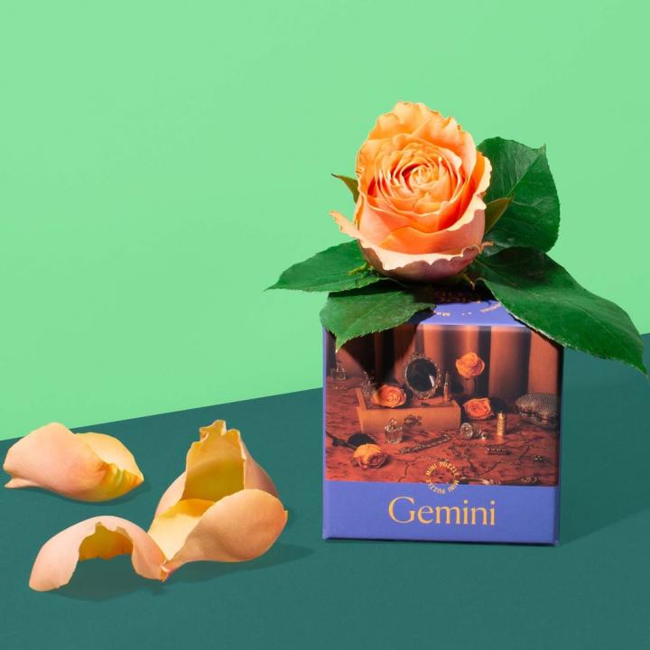 Gift-For-Gemini-Piecework-Puzzles-Gemini-Mini-Puzzle.jpg