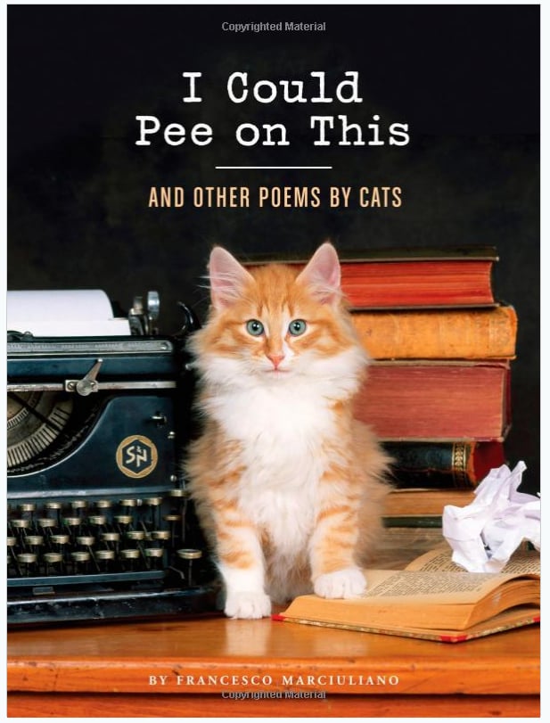 I-Could-Pee-Other-Poems-Cats.png