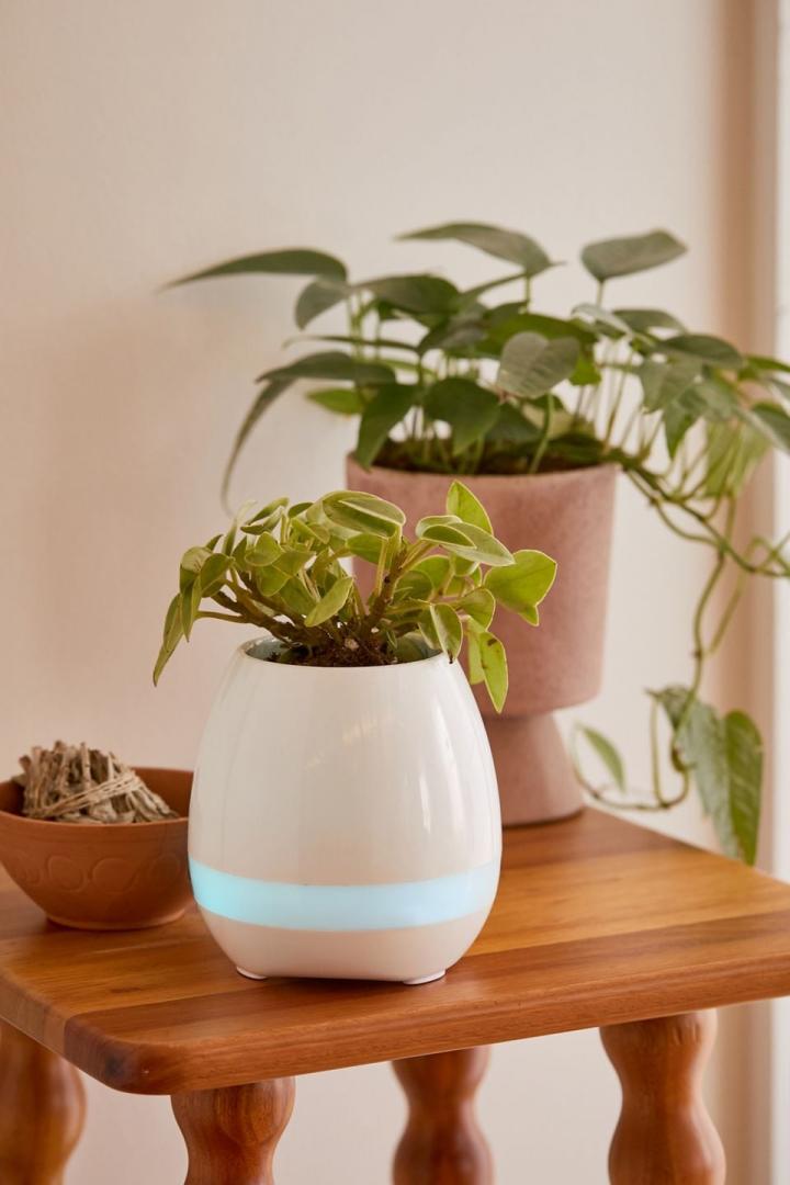 For-Plant-Parents-Planter-Bluetooth-Speaker.jpg