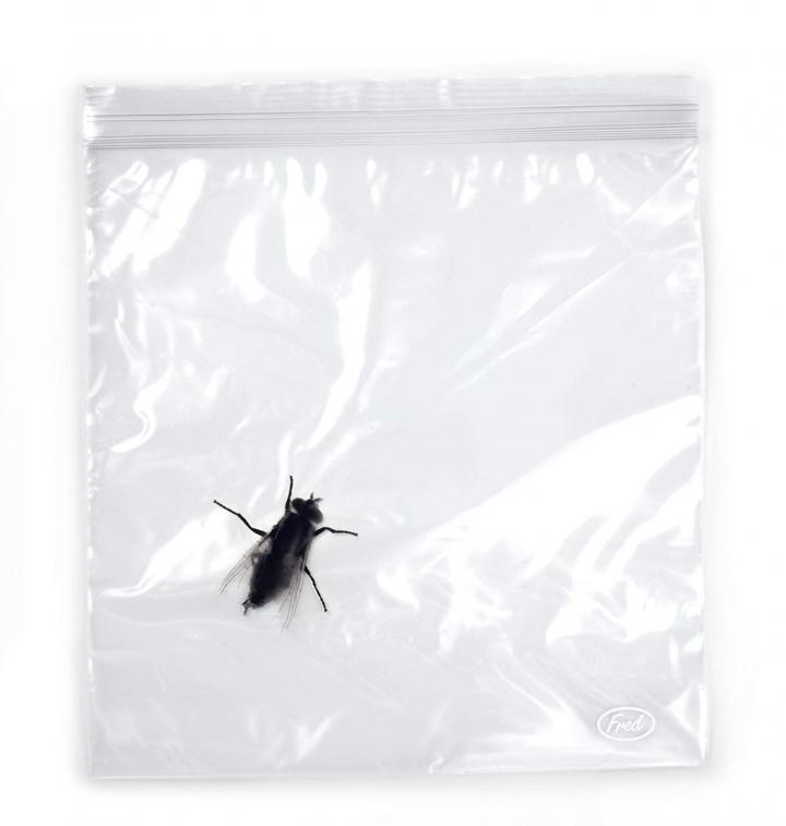 Someone-Who-Afraid-Bugs-Fred-Lunch-Bugs-Zipper-Sandwich-Bags.jpg