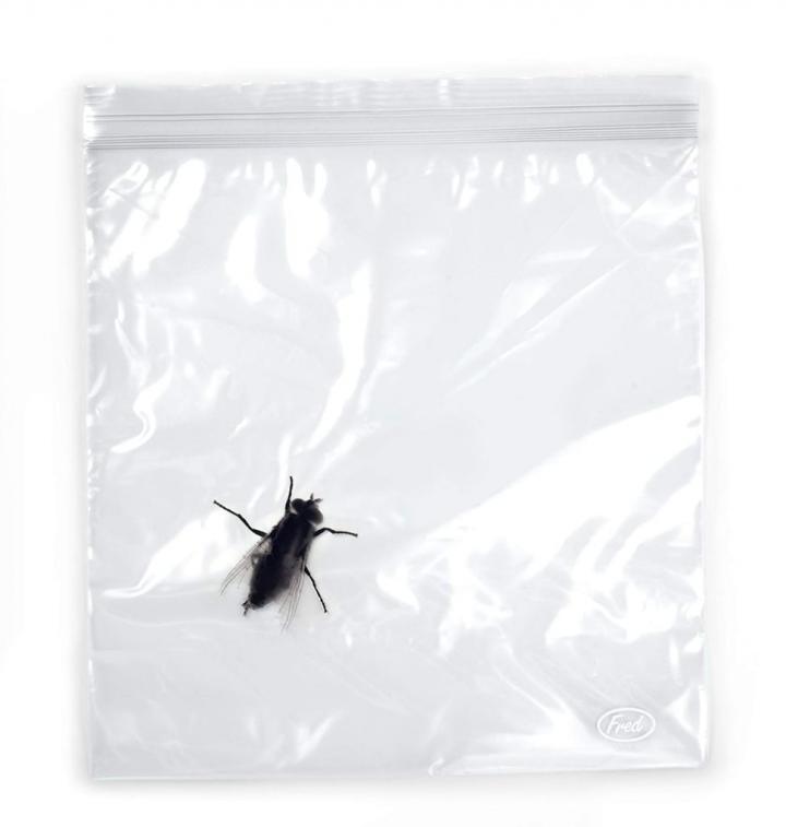 Someone-Who-Afraid-Bugs-Fred-Lunch-Bugs-Zipper-Sandwich-Bags.jpg
