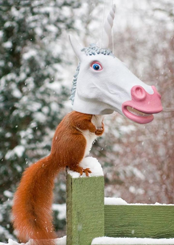 Something-You-Have-See-Believe-Unicorn-Head-Squirrel-Feeder-Archie-McPhee.jpg