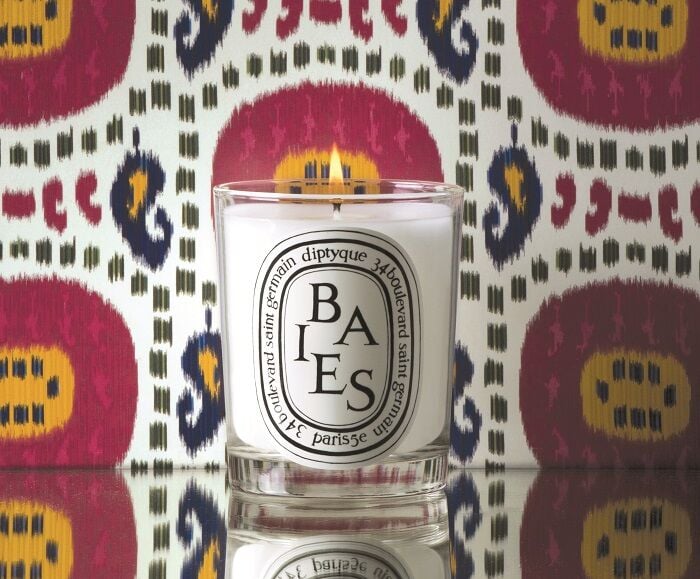 For-Luxurious-Feeling-Diptyque-Baies-Candle.jpg