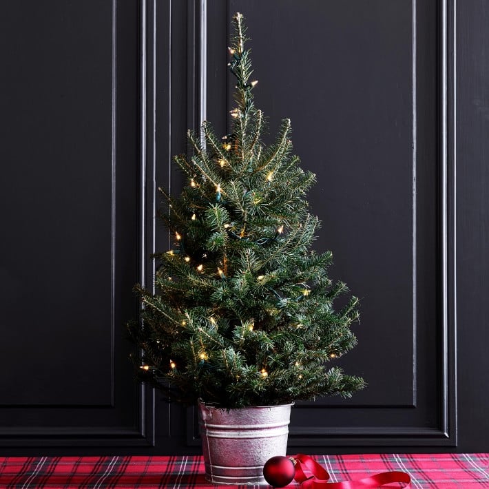 Fresh-Tabletop-Christmas-Tree-With-Lights.jpg