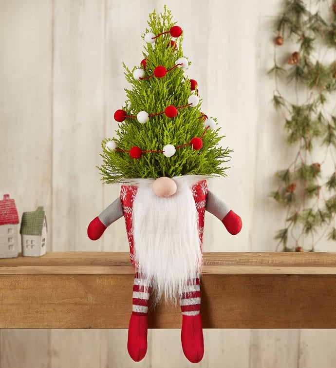 Gnome-for-Holidays-Cypress-Tree.jpg