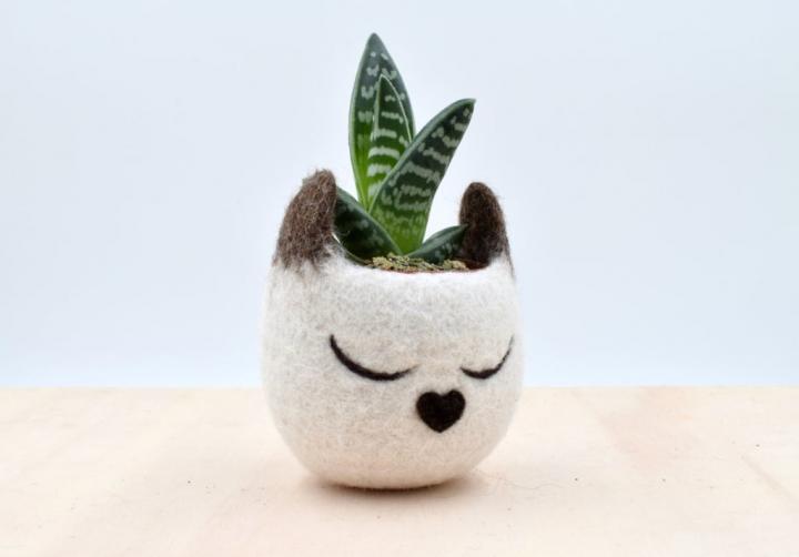 For-Cat-Lover-Cat-Succulent-Planter.jpg