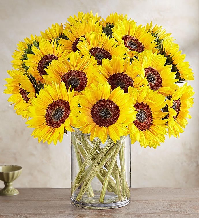 Sunny-Sunflowers-1-800-Flowers-Sunflower-Bouquet.jpg
