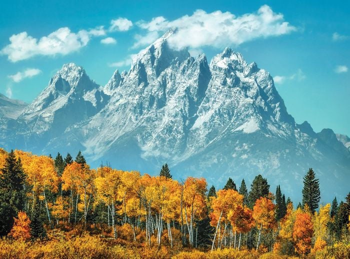 Pretty-Puzzle-Grand-Tetons-in-Fall-1000-Piece-Jigsaw-Puzzle.jpg
