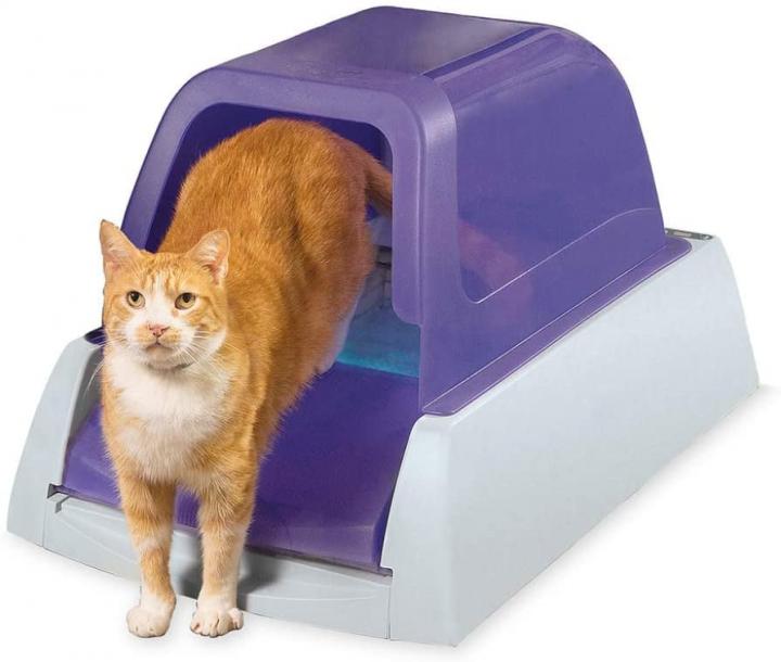 For-Cat-Owners-PetSafe-ScoopFree-Original-Automatic-Self-Cleaning-Cat-Litter-Box.jpg