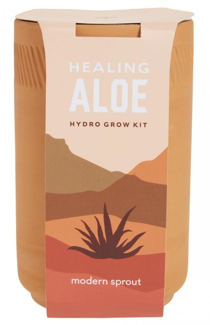 For-Plant-Parent-Modern-Sprout-Healing-Aloe-Terra-Cotta-Hydro-Grow-Kit.png
