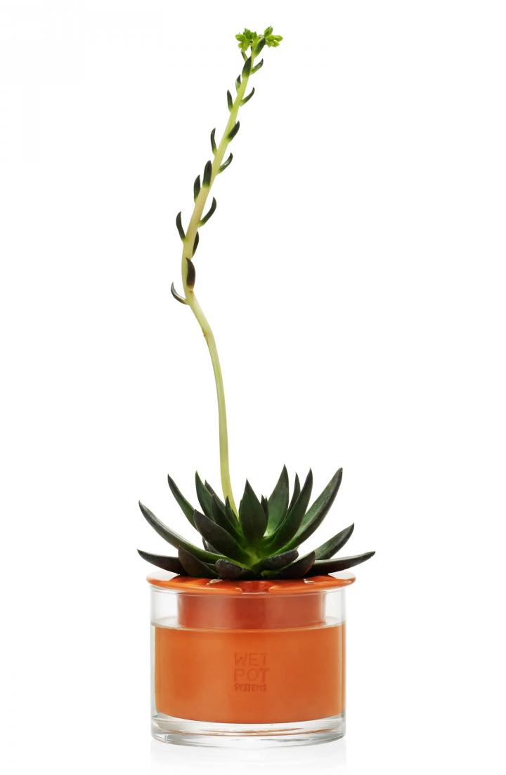 Cool-Plant-Gift-Moma-Design-Store-Self-Watering-Pot.webp