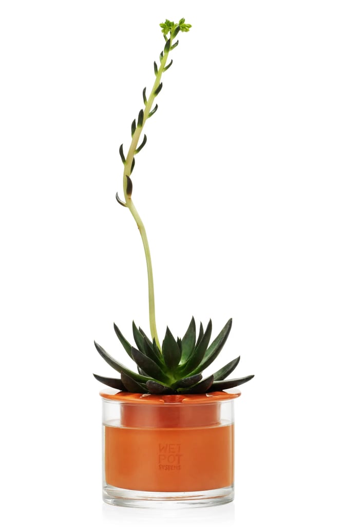 Cool-Plant-Gift-Moma-Design-Store-Self-Watering-Pot.webp
