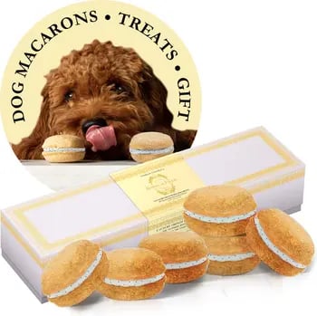Elevated-Dog-Treats-Bonne-Et-Fillou-Vanilla-Macarons-Dog-Treats.webp