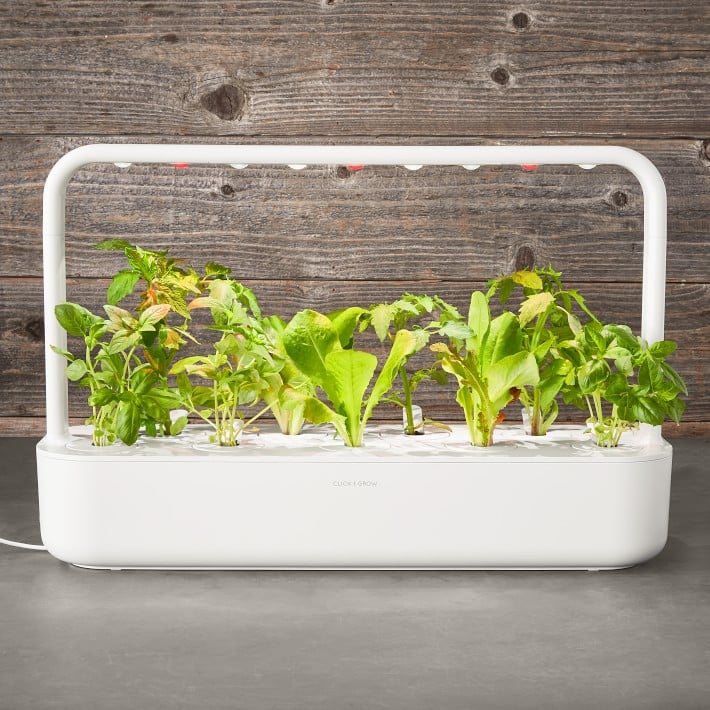 Click-Grow-Smart-Garden-9-Self-Watering-Indoor-Garden.jpg