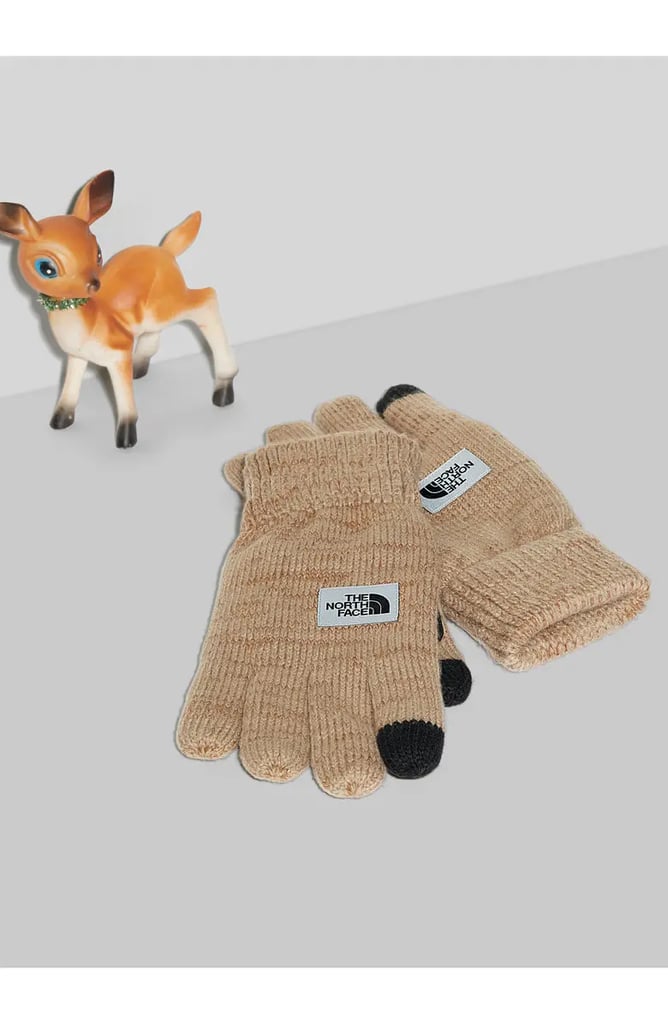 For-Texting-North-Face-Etip-Salty-Dog-Knit-Tech-Gloves.webp