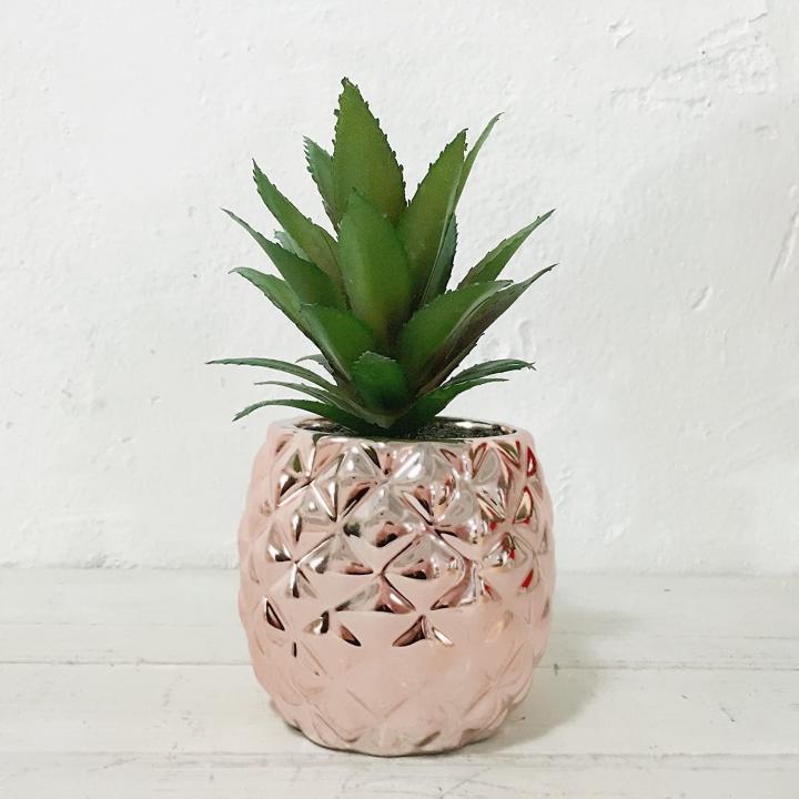 Decorative-Plant-Piece-Pretty-Home-Porcelain-Potted-Artificial-Succulent.jp