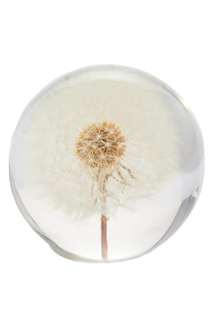 Weight-World-Dauphinette-Dandelion-Paperweight.webp