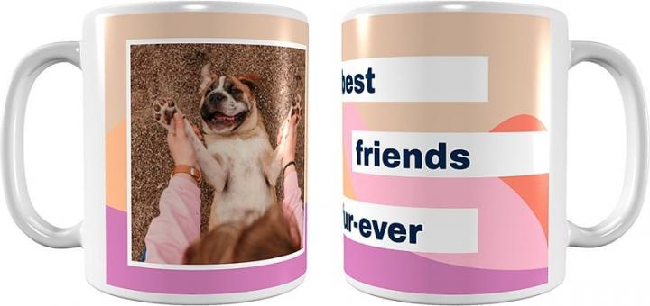 For-Pet-Parents-Frisco-Best-Friends-Fur-Ever-Mug.jpg