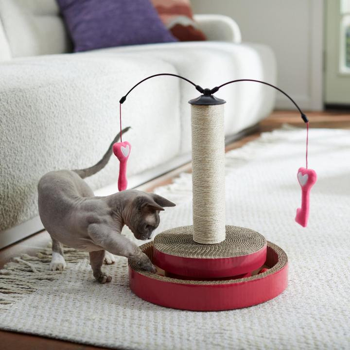 Interactive-Toy-For-Cats-Frisco-Valentine-Key-to-My-Heart-Interactive-Scratching-Cat-Toy.jpg