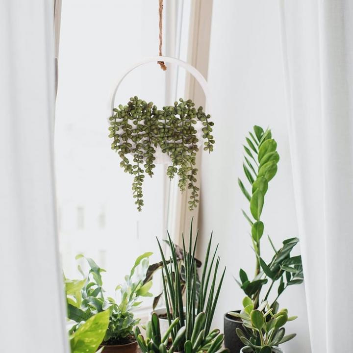 Faux-Succulents-Amazon.jpg