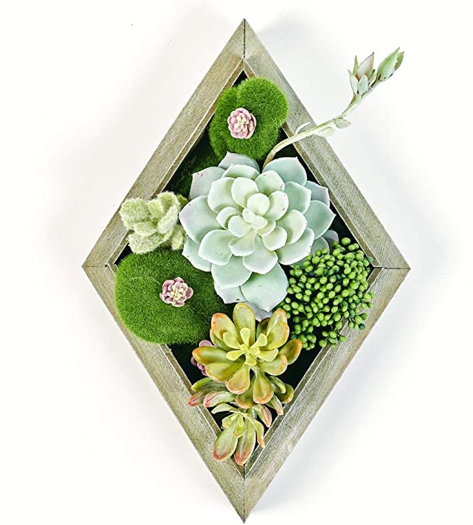 For-Wall-Room-Bloom-Artificial-Succulent-Wall-Hanger.jpg